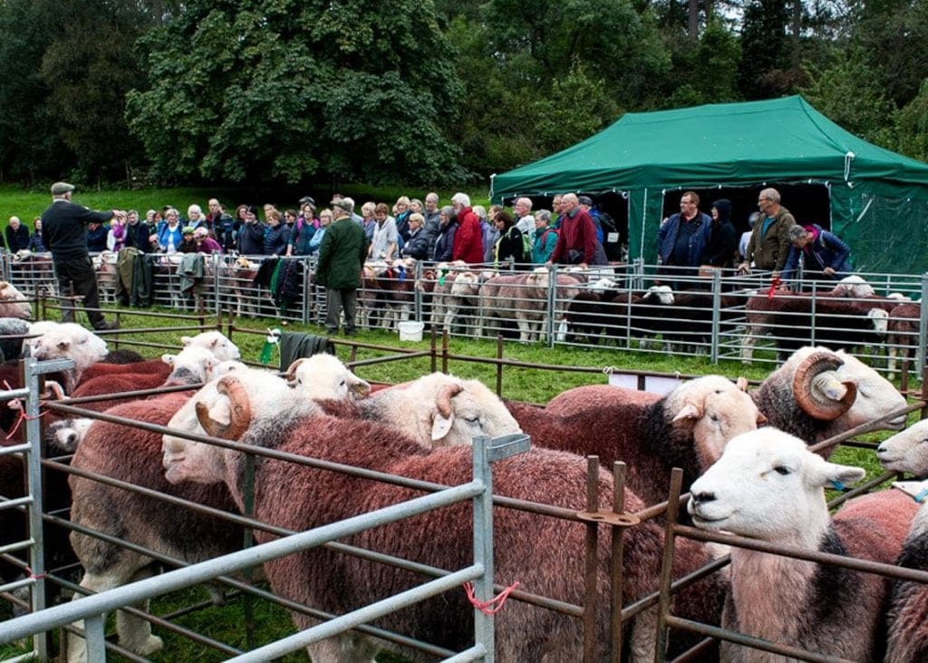 Borrowdale Shepherds' Meet 2020 has been cancelled