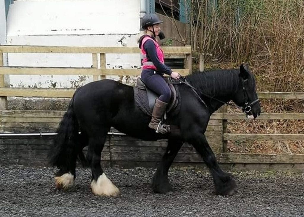 Here is Bethany riding Flow, one of the Calvert ponies.