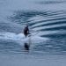 Jet skiers were photographed on Derwentwater yesterday (Thursday 25 June) evening by a Keswick Reminder reader