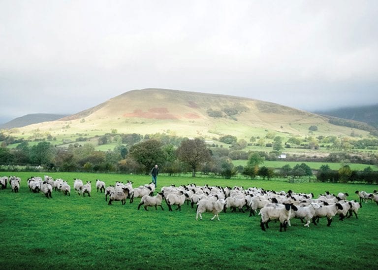 Keswick farmer’s fears over new agriculture bill’s impact on food