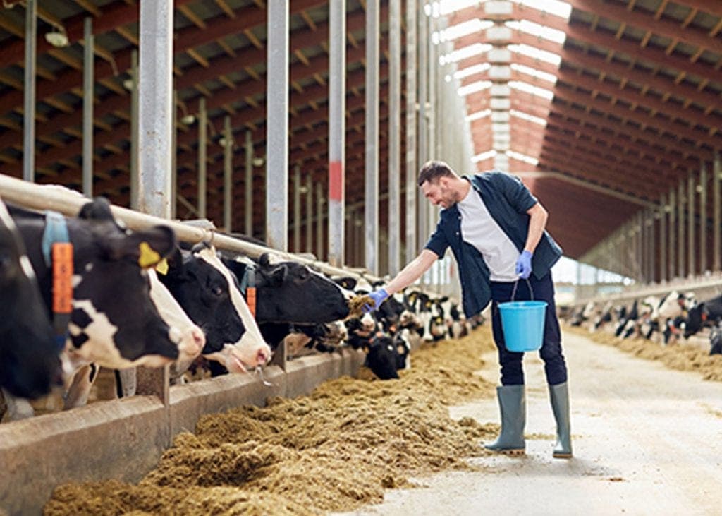 Defra to launch new support fund for English dairy farmers.