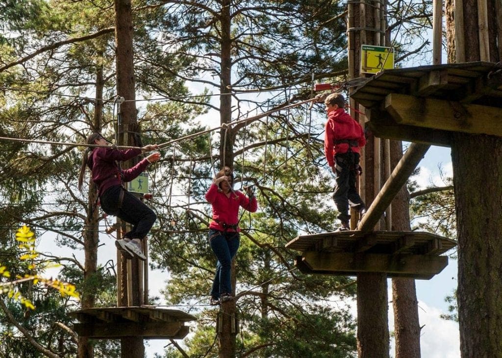 Go Ape at Whinlatter Forest Centre near Keswick will be reopening on Saturday 4th July.