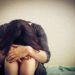 Domestic abuse victims to be offered extra support