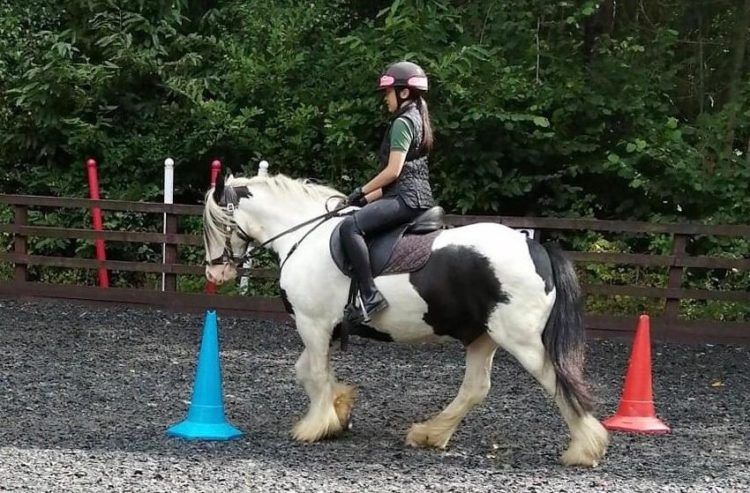 Calvert Trust's Stables Reopen In Keswick - The Keswick Reminder