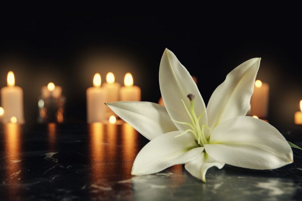 Lily in front of candles 