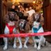 Max, Paddy and Harry open Lake District inn after multi-million-pound revamp