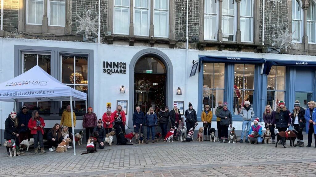 Lake District Hotels Ltd held a free festive dog walk. Pictured are the dog walkers outside the hotel group's Inn on the Square